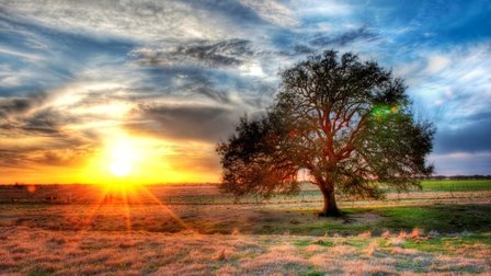 Texas Sunset